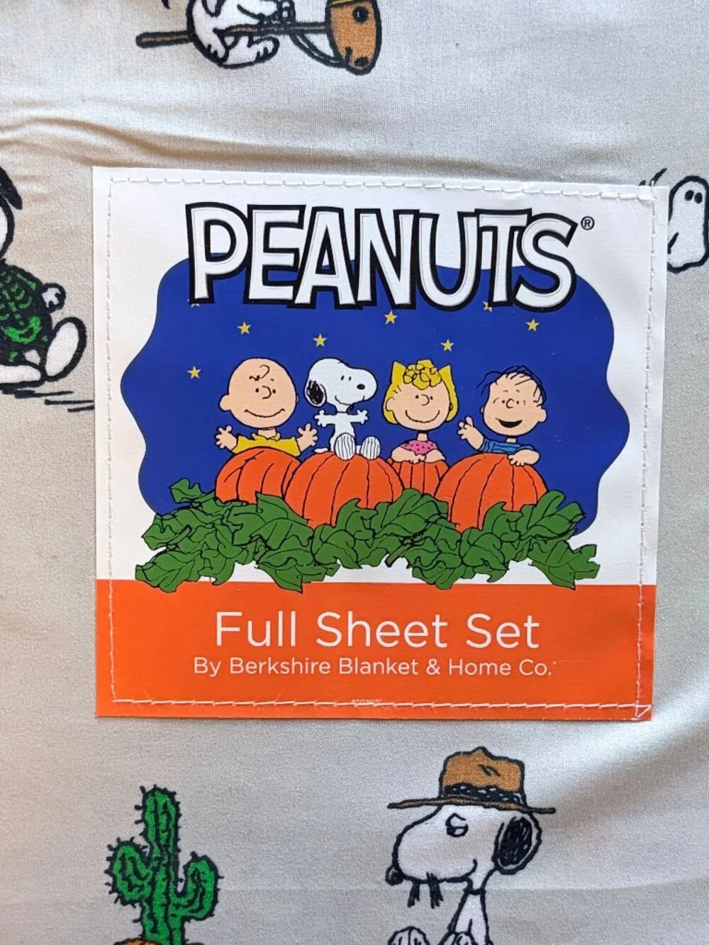 Peanuts Snoopy Costumes Halloween Pumpkin Full Size Sheet Set (GRAY Backgound)